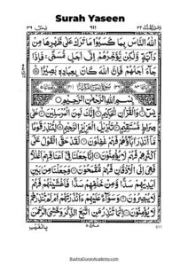 Surah Yaseen in Arabic pdf pdf